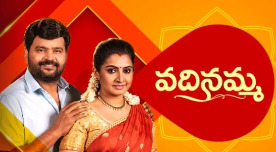 Vadinamma serial cast, Released Date, Timing & More - Latestserial