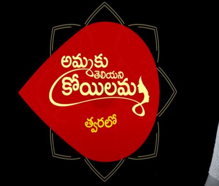 ammaku teliyani koilamma serial ,