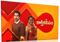 Karthika Deepam Serial Cast, Story, Actor Names Wiki Today (Star Maa)