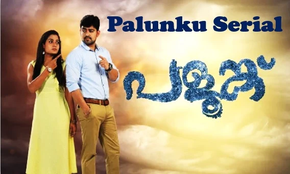 Palunku serial Asianet today episode – Serial cast and Actress Real Name