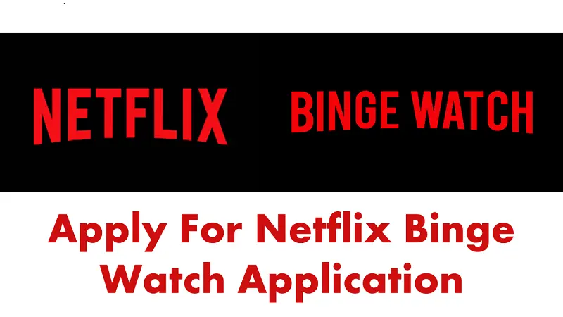 netflix binge watch application